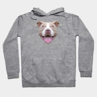 Pitbull Hoodie